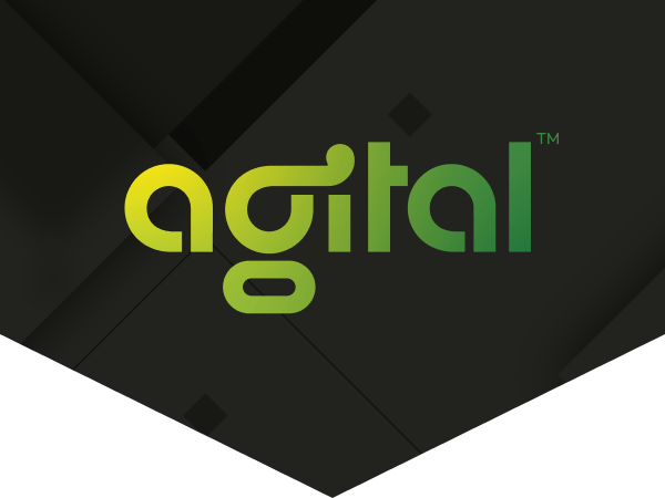 Agital Taps Sheila McAneney as Division President